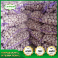 Order Sinofarm Super white garlic normal 10kg/bag export Angola Market wholesale suppliers with pallet